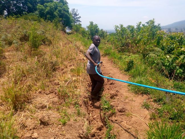 Ein Mann bewässert junge Pflanzen mit einem blauen Schlauch auf einem Feld in einer ländlichen Umgebung
