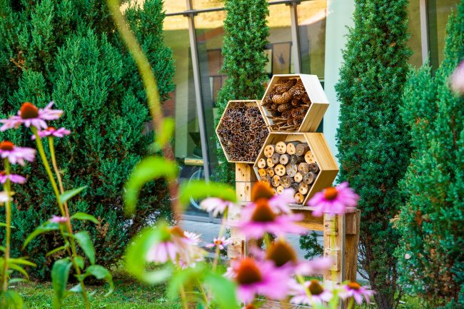 Ein Insektenhotel aus Holzblöcken unterschiedlicher Formen und Größen, platziert zwischen üppigen Grünanlagen und bunten Blumen, um die Biodiversität in einem Garten zu fördern.