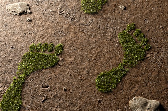 CO2-Kompensation - Ein Bild, das zwei Fußabdrücke zeigt, wobei einer aus frischem, grünem Moos auf trockener Erde besteht und den Eindruck einer nachhaltigen, ökologischen Spur hinterlässt, symbolisch für CO2-Kompensation.