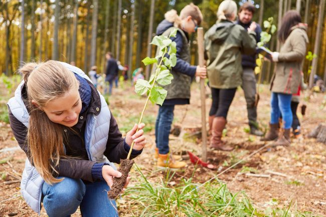 Klimaschutz Unternehmen - Ein Bild, das eine junge Frau zeigt, die einen jungen Baum pflanzt, mit weiteren Personen im Hintergrund, die ebenfalls Bäume pflanzen, im Rahmen einer umweltfreundlichen Initiative eines Unternehmens zum Klimaschutz.